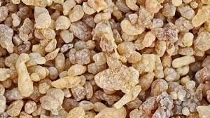 تجارة "اللبان" اليمني: الذهب المقدس الذي عطر معابد العالم وصنع ثروة الممالك