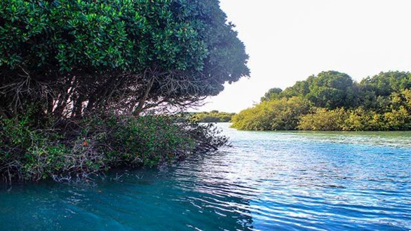 جزيرة "كمران": لؤلؤة البحر الأحمر ومحطة الملاحة الدولية التاريخية