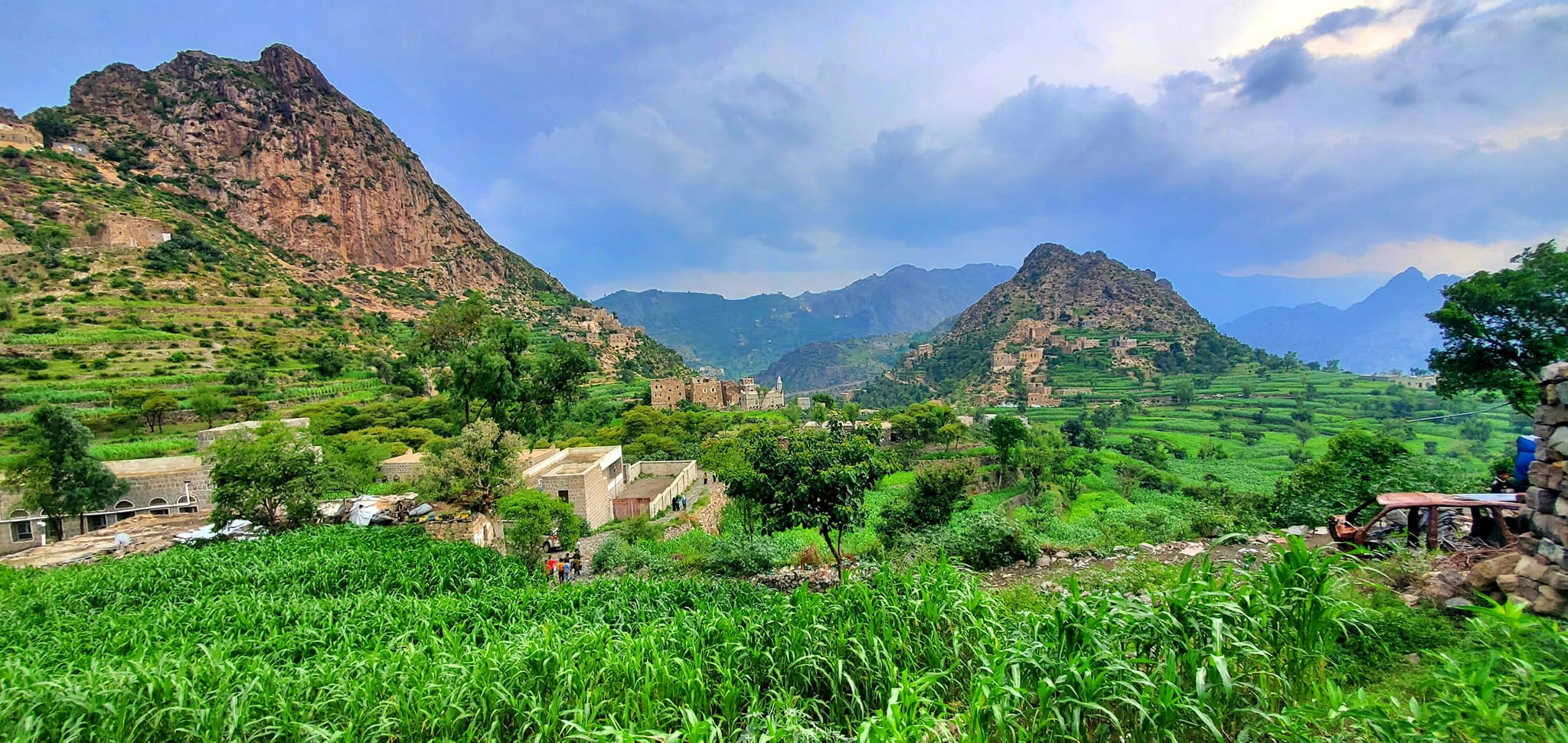 جبال ريمة: "حدائق السحاب" وأسرار التنوع المناخي العمودي