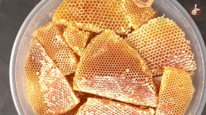 العسل اليمني — ذهب الجبال