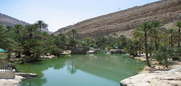 وادي "مور": سلة غذاء تهامة وأكبر الوديان الزراعية في غرب اليمن وسر السيادة الغذائية