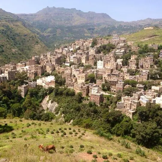 مدينة "جبلة": عاصمة الملكة أروى ودرة التاريخ الإسلامي في اليمن